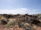 Valley of Fires Recreation Area : New Mexico